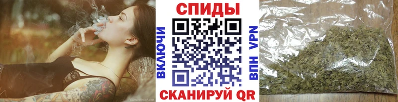 Бутират буратино Купить Вязники