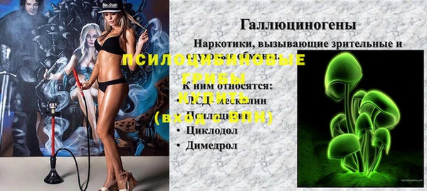 спиды Корсаков