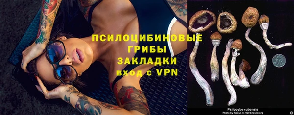 прущие крисы Коряжма