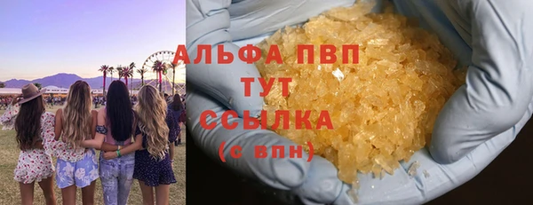 спиды Корсаков