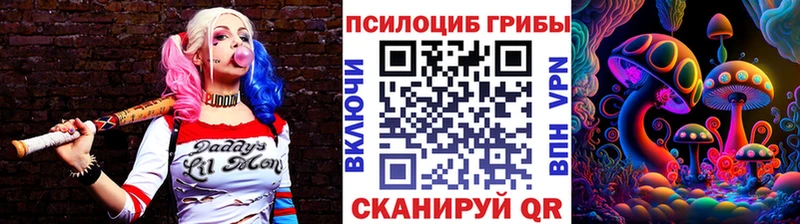 Псилоцибиновые грибы Cubensis  Купить закладки  Вязники 